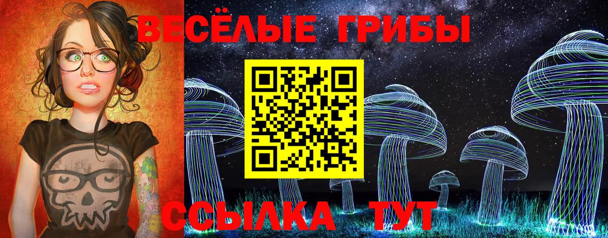 Борисоглебск  Галлюциногенные грибы ЛСД  Вход с VPN 